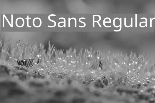 Noto Sans Regular Font examples