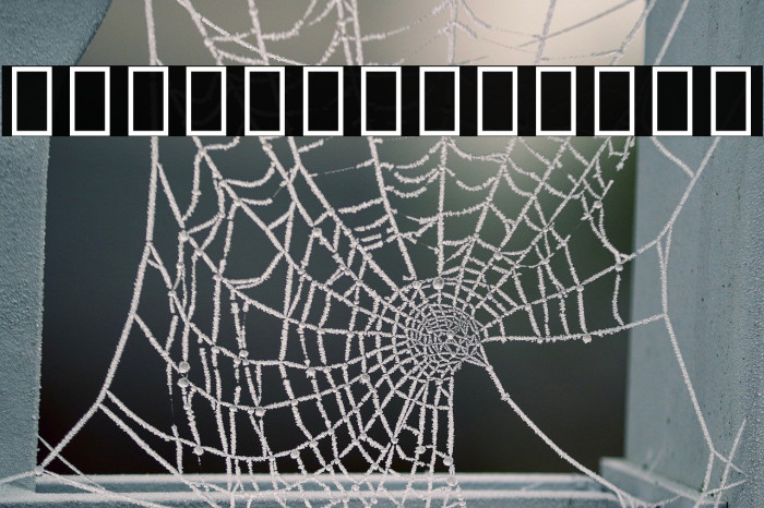 Noto Sans Rejang Example 3