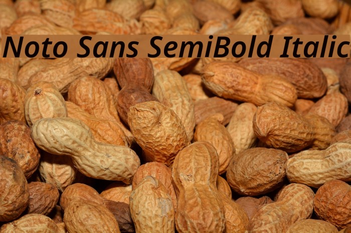 Noto Sans SemiBold Italic Font examples