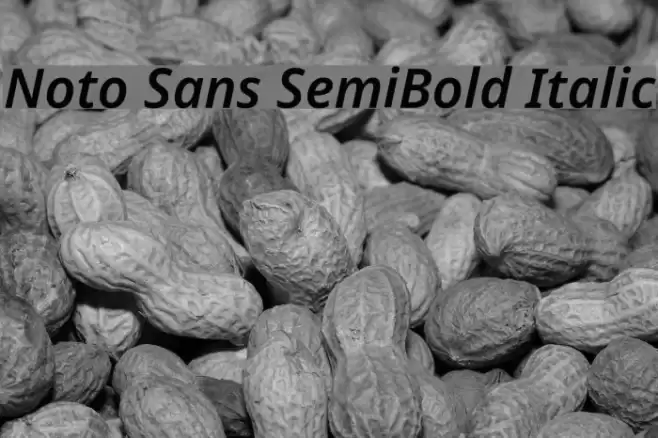 Noto Sans SemiBold Italic Font examples