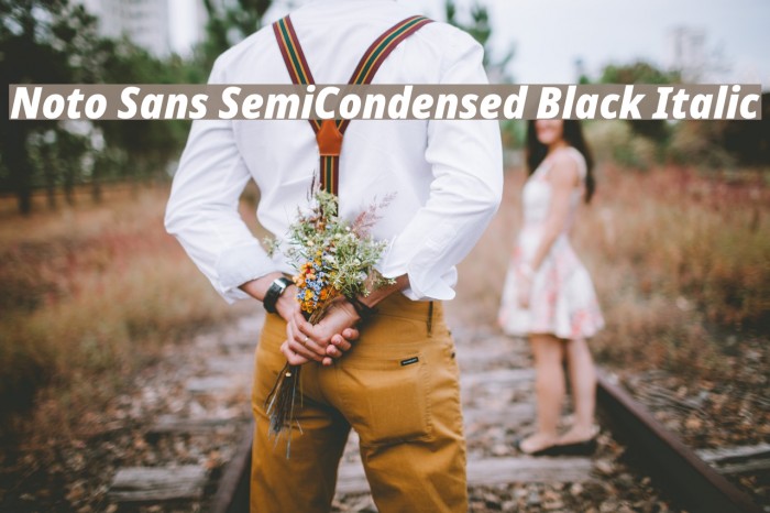 Noto Sans SemiCondensed Black Italic Example 1