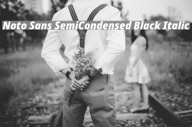 Noto Sans SemiCondensed Black Italic Font examples