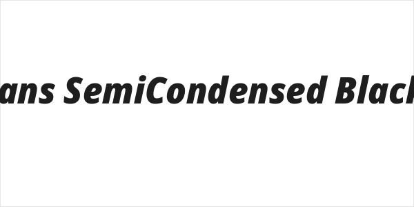 Noto Sans SemiCondensed Black Italic Logo