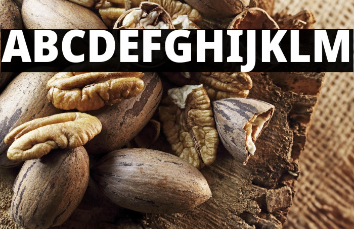 Noto Sans SemiCondensed Black Example 2