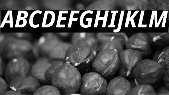 Noto Sans SemiCondensed Bold Italic Font examples