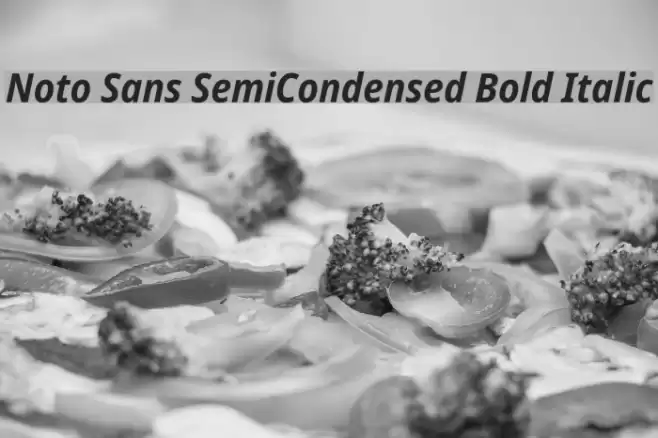 Noto Sans SemiCondensed Bold Italic Font examples