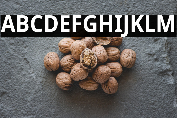 Noto Sans SemiCondensed Bold Example 2