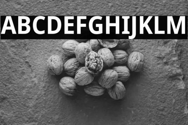 Noto Sans SemiCondensed Bold Font examples