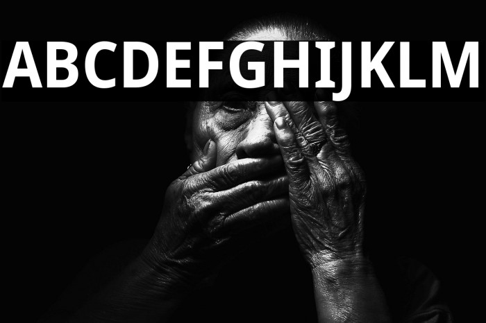 Noto Sans SemiCondensed Bold Example 3