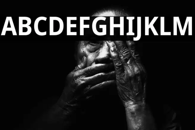 Noto Sans SemiCondensed Bold Font examples