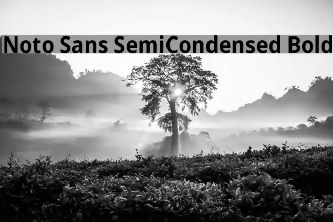 Noto Sans SemiCondensed Bold Font examples