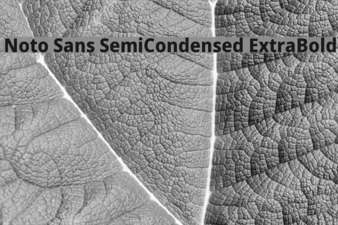 Noto Sans SemiCondensed ExtraBold Font examples