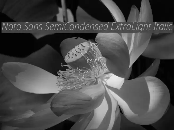 Noto Sans SemiCondensed ExtraLight Italic Font examples