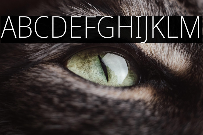 Noto Sans SemiCondensed ExtraLight Example 2