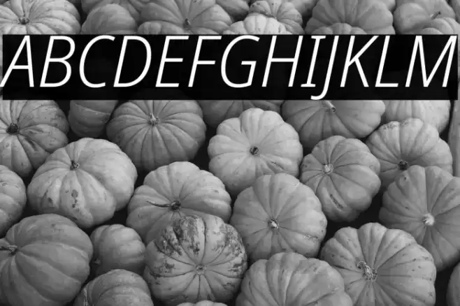 Noto Sans SemiCondensed Light Italic Font examples