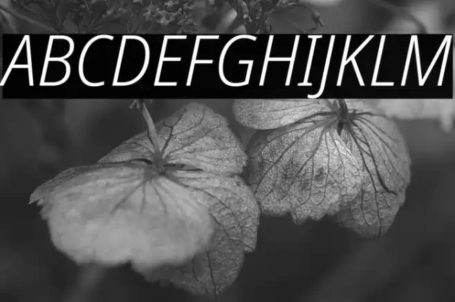 Noto Sans SemiCondensed Light Italic Font examples