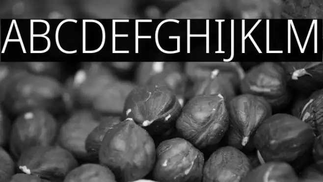 Noto Sans SemiCondensed Light Example 3