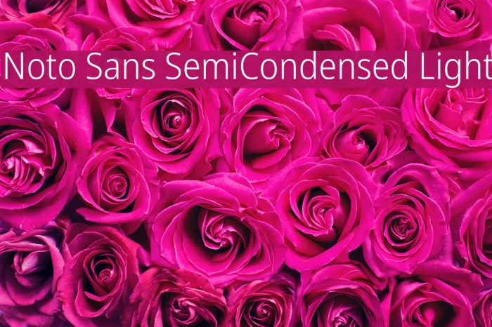 Noto Sans SemiCondensed Light Example 1