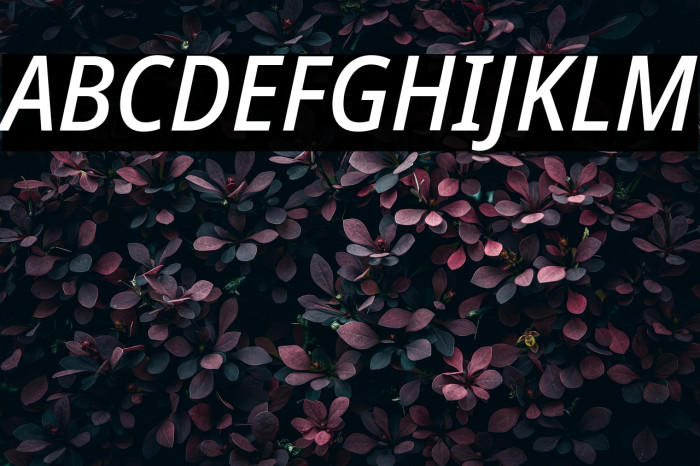 Noto Sans SemiCondensed Medium Italic Example 1