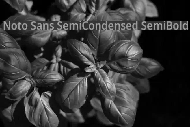Noto Sans SemiCondensed SemiBold Font examples