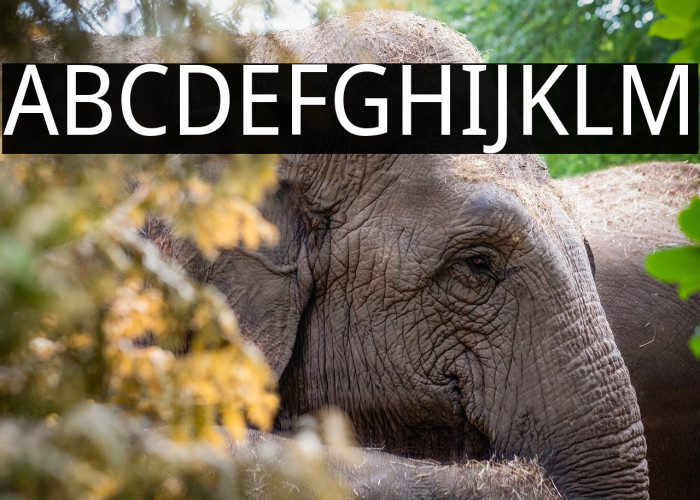 Noto Sans SemiCondensed Example 1