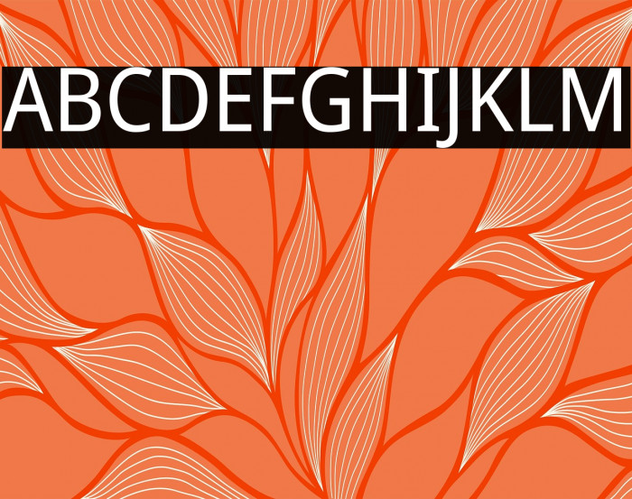 Noto Sans SemiCondensed Example 3