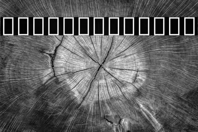 Noto Sans Sinhala Condensed ExtraBold Font examples