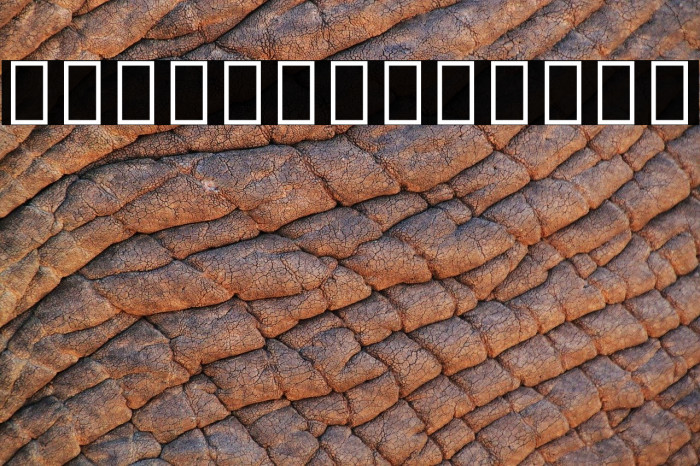 Noto Sans Sinhala Condensed Example 3