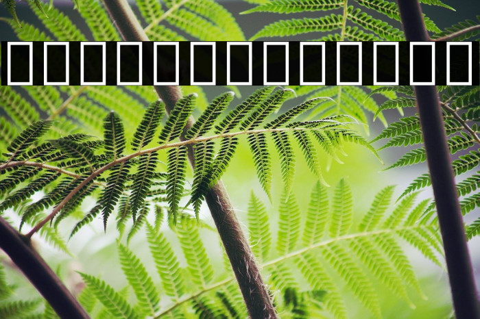 Noto Sans Sinhala Medium Example 3