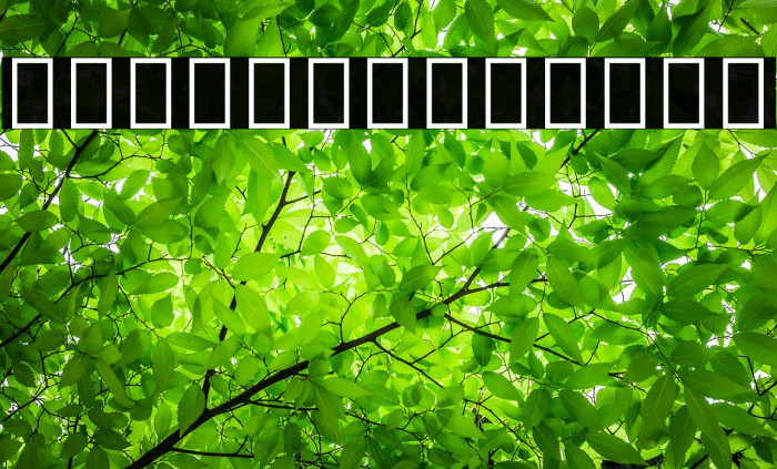 Noto Sans Sinhala Regular Example 3