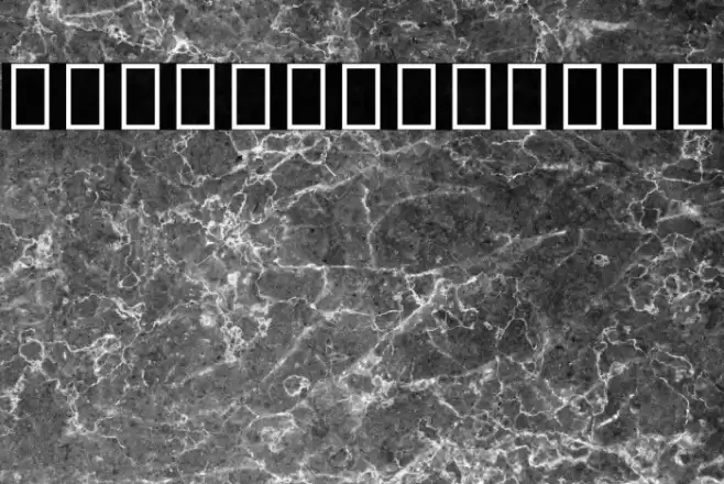 Noto Sans Sinhala SemiCondensed Black Font examples