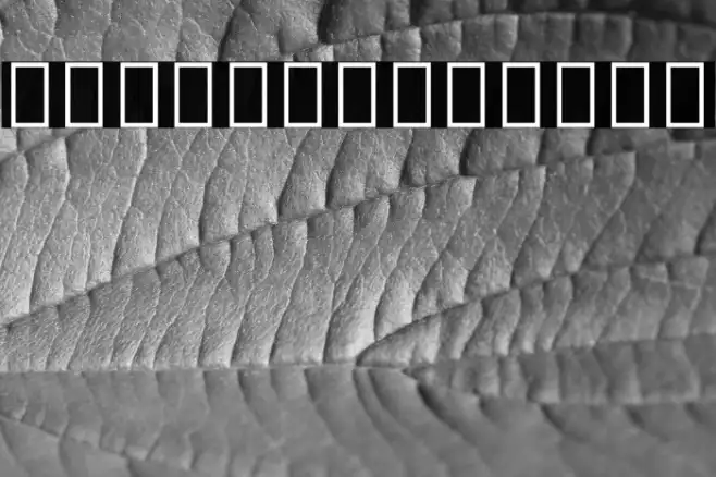 Noto Sans Sinhala UI Condensed Thin Example 2