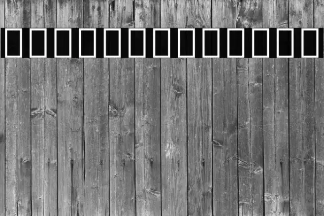 Noto Sans Sinhala UI Condensed Example 1