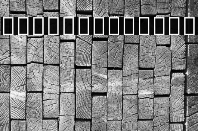 Noto Sans Sinhala UI Condensed Example 2