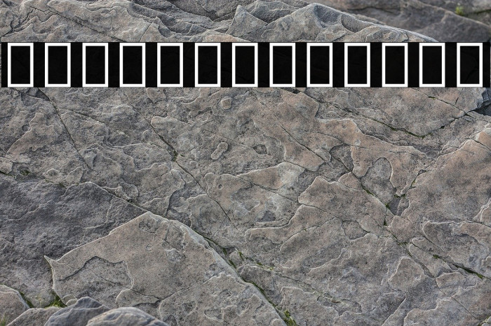 Noto Sans Sinhala UI ExtraCondensed Bold Font examples