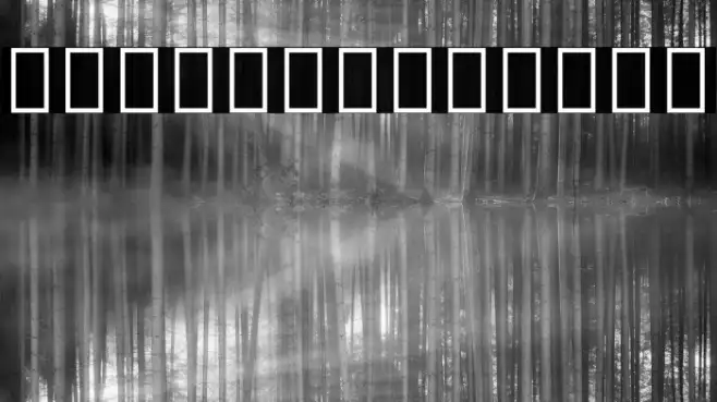 Noto Sans Sinhala UI ExtraCondensed Medium Example 1