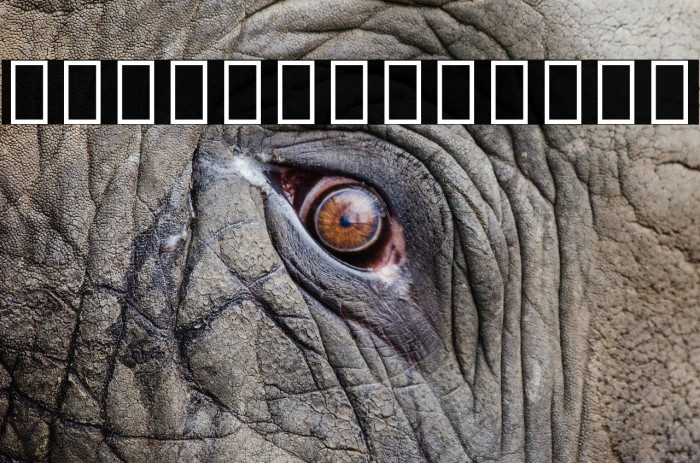 Noto Sans Sinhala UI ExtraCondensed Thin Example 3