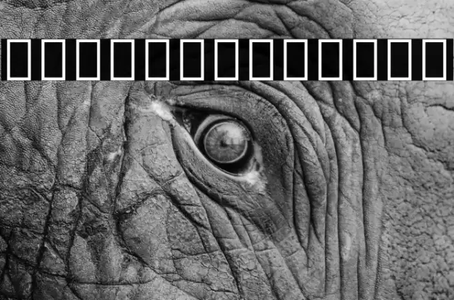 Noto Sans Sinhala UI ExtraCondensed Thin Font examples