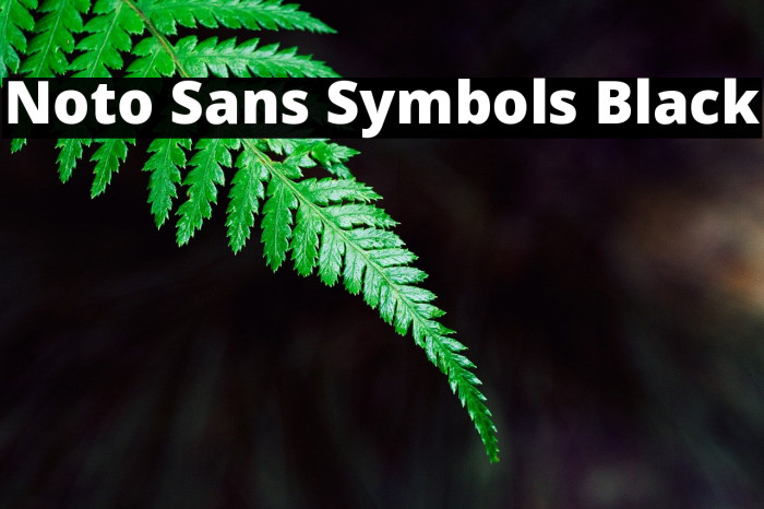 Noto sans symbols powerpoint ошибка