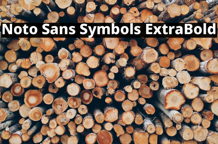 Noto Sans Symbols ExtraBold Font examples