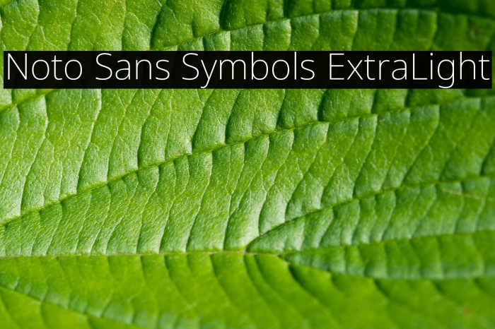 Noto Sans Symbols ExtraLight Font examples