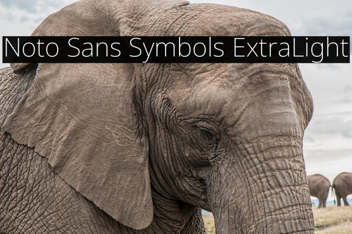 Noto Sans Symbols ExtraLight Font examples