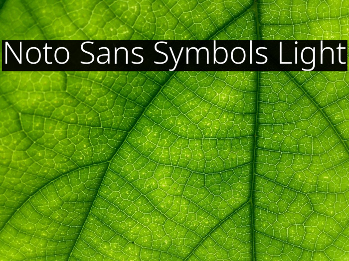 Noto Sans Symbols Light Font examples