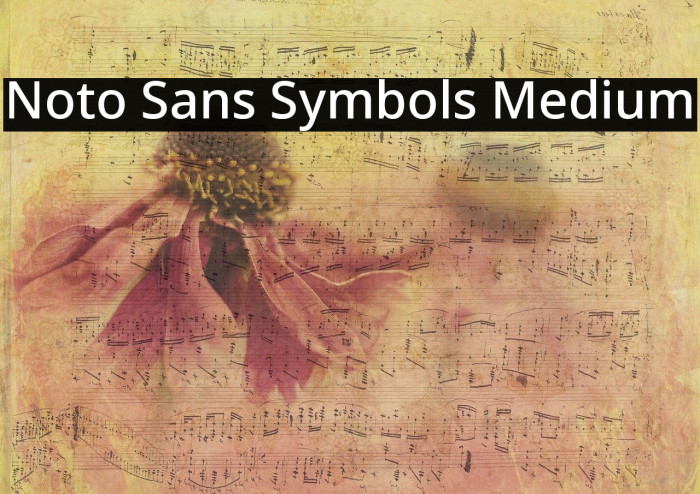 Noto Sans Symbols Medium Font examples