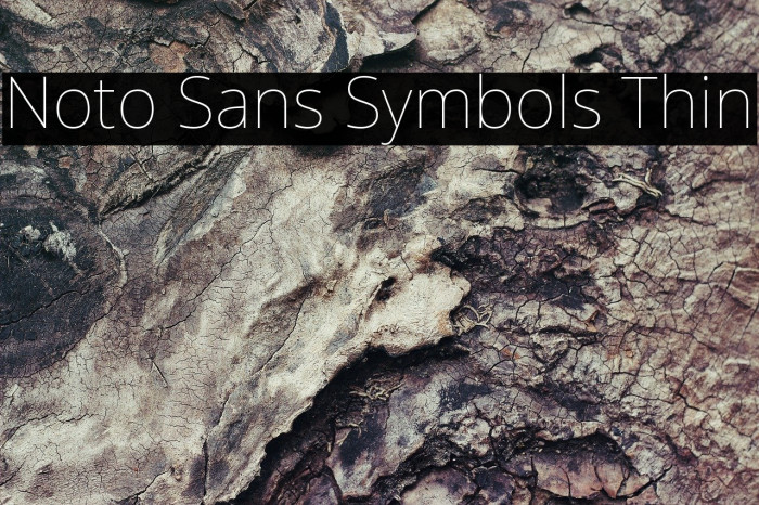 Noto Sans Symbols Thin Font examples