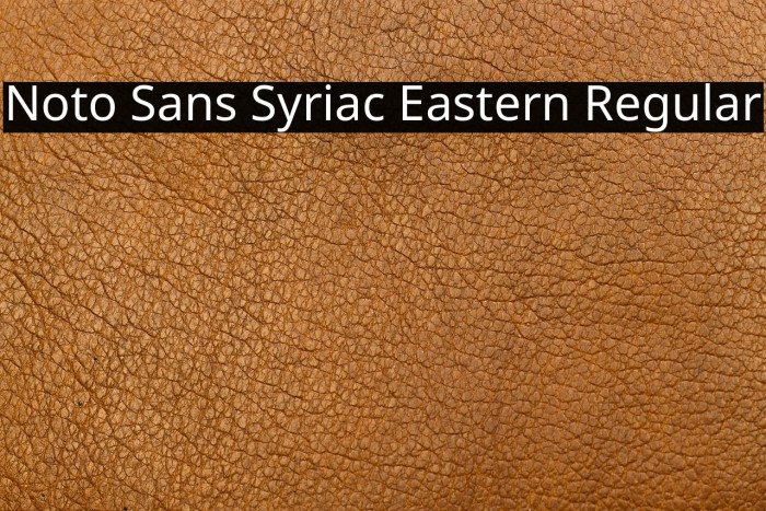 Noto Sans Syriac Eastern Regular Example 3