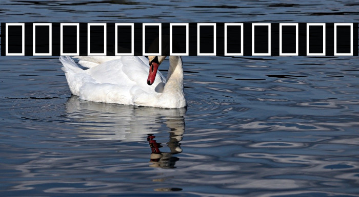 Noto Sans Tai Tham Example 1