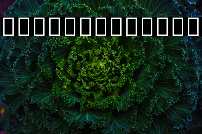 Noto Sans Tai Tham Example 2