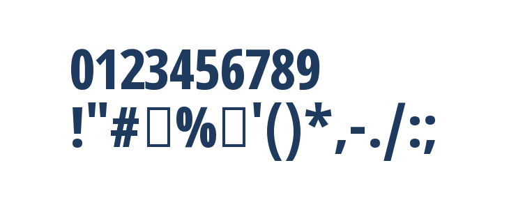 Noto Sans Tamil Condensed Bold Other Characters