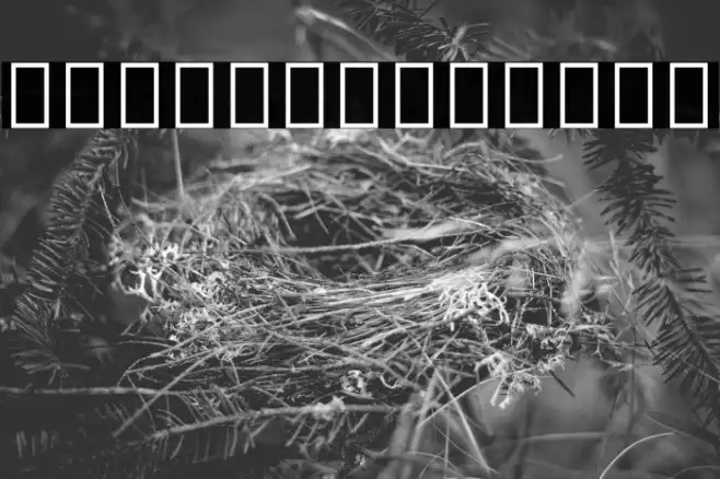 Noto Sans Tamil Condensed SemiBold Example 3